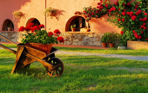 Appartamento Ibisco Seaside and Pool: Giardino, Landscaping, Cortile, Vaso Di Fiori, Backyard, Hacienda, Pianta Della Casa