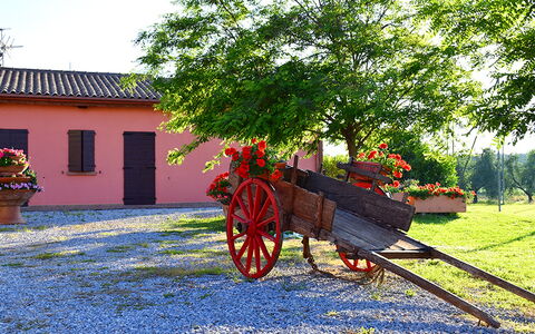 Suite Orchidea Seaside and Pool: Giardino, Landscaping, Cortile, Driveway, Vaso Di Fiori, Hacienda