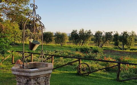 Appartamento Girasole Seaside and Pool: Plain, Giardino, Parco, Prato, Cortile, Landscaping, Piantagione, Giardino Botanico, Azienda Agricola, Backyard