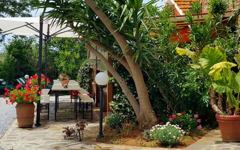Appartamento Papavero Seaside and Pool: Verde, Vaso Di Fiori, Giardino, Mobilia, Shade, Mobili Da Esterno, Backyard, Pianta Della Casa, Sedia