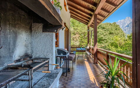 Erika: Legna, Montagna, Catena Montuosa, Collina, Portico, Hill Station, Valle, Cresta, Latifoglie, Alpi