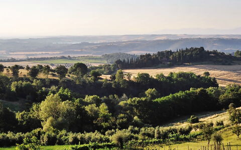 Casale Il Rondò, Private Pool, Città della Pieve: Albero, Ambiente Naturale, Verde, Paesaggio Naturale, Vegetazione, Collina, Ecoregione, Pascolo, Paesaggio, Plain