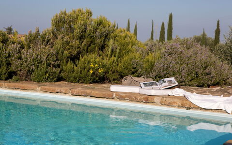 Podere Sangiovese, Pool and View in Chianti: Landscaping, Sempreverde, Piscina, Pine Famiglia
