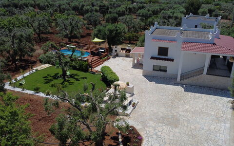 Villa Antony: Casa, Estate, Giardino, Hacienda, Landscaping, Cortile, Dimora, Villa, Driveway, Shade