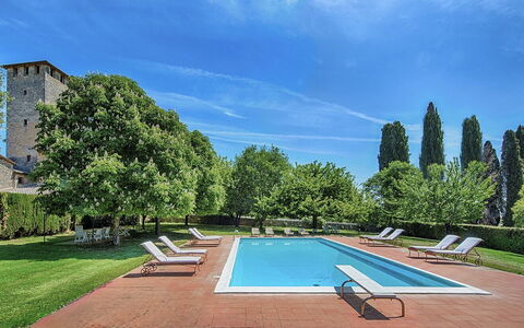 Medieval Castle Living: Vineyards, Swimming Pool &: Arbusto, Giardino, Estate, Hedge, Landscaping, Prato, Hacienda, Villa, Cortile, Dimora