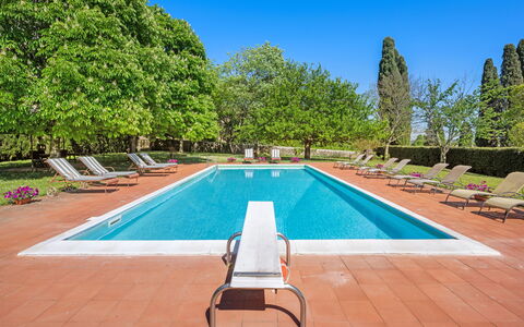 Medieval Castle Living: Vineyards, Swimming Pool &: Arbusto, Giardino, Piscina, Estate, Hacienda, Shade, Landscaping, Prato, Villa, Ricorrere