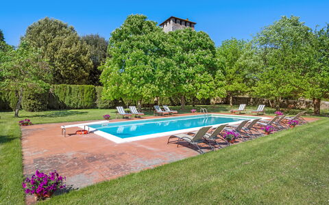 Medieval Castle Living: Vineyards, Swimming Pool &: Albero, Arbusto, Giardino, Prato, Estate, Piantagione, Piscina, Parco, Landscaping, Hacienda
