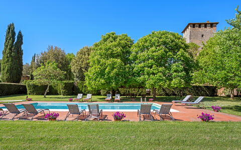 Medieval Castle Living: Vineyards, Swimming Pool &: Arbusto, Giardino, Estate, Hacienda, Prato, Landscaping, Piantagione, Hedge, Cortile, Parco