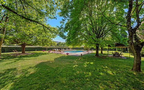 Medieval Castle Living: Vineyards, Swimming Pool &: Albero, Natura, Foglia, Ramo, Giardino, Luce Del Sole, Shade, Prato, Parco, Landscaping