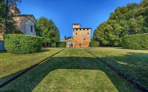 Medieval Castle Living: Vineyards, Swimming Pool &: Arbusto, Giardino, Estate, Prato, Hedge, Landscaping, Castello, Parco, Sempreverde, Dimora