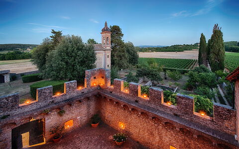 Medieval Castle Living: Vineyards, Swimming Pool &: Paesaggio, Castello, Estate, Giardino, Sito Storico, Architettura Medievale, Fortificazione, Palazzo, Dimora
