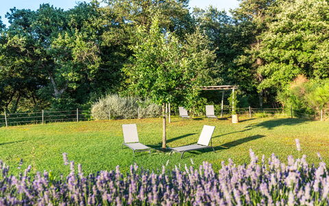 Cignella Resort: Erba, Arbusto, Giardino, Prato, Primavera, Groundcover, Prato, Parco, Shade