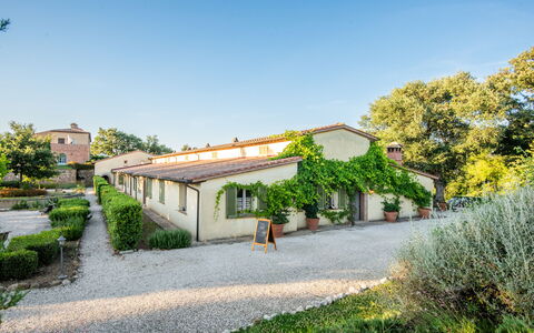 Cignella Resort: Costruzione, Casa, Facciata, Arbusto, Architettura, Tetto, Zona Residenziale, Casa, Estate