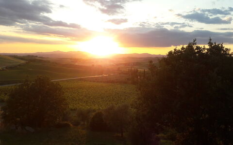 Podere Peteglia: Sole, Orizzonte, Natura, Tramonto, Paesaggio Naturale, Alba, Afterglow, Collina, Paesaggio, Crepuscolo