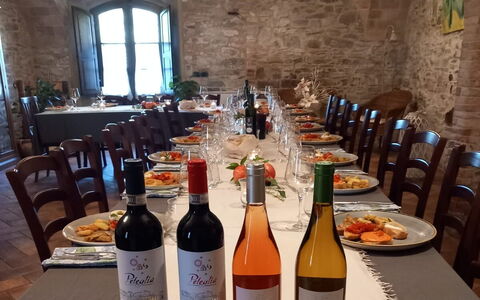 Podere Peteglia: Mobilia, Bottiglia, Ristorante, Sedia, Vino, Pianta Della Casa, Bottiglia Di Vetro, Barware, Cucina & Sala Da Pranzo Tavolo