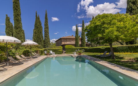 Podere Peteglia: Arbusto, Giardino, Piscina, Hedge, Landscaping, Estate, Hacienda, Eco Hotel, Villa, Cortile
