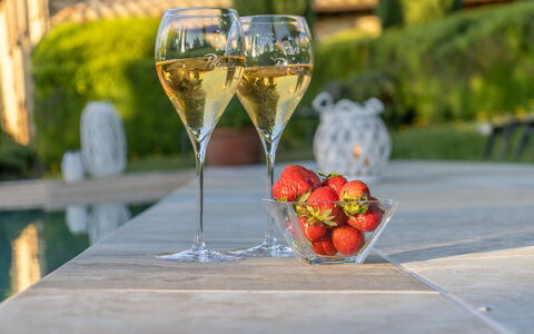 Podere Peteglia: Stemware, Tavola, Bicchieri, Bicchiere Di Vino, Barware, Vino, Champagne
