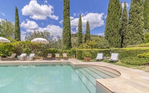 Podere Peteglia: Blu, Giardino, Landscaping, Sempreverde, Piscina, Larice, Pine Famiglia