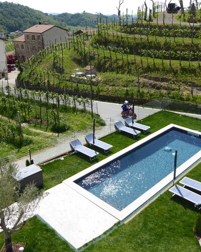 Villa Valdobbiadene Pool Spa: Urban Design, Giardino, Cortile, Piscina, Landscaping, Agricoltura, Piantagione, Visione Globale, Backyard, Villa