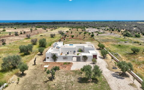 Terracorte Villa: Paesaggio, Architettura, Lotto, Plain, Casa, Estate, Landscaping, Villaggio, Hacienda, Agriturismo