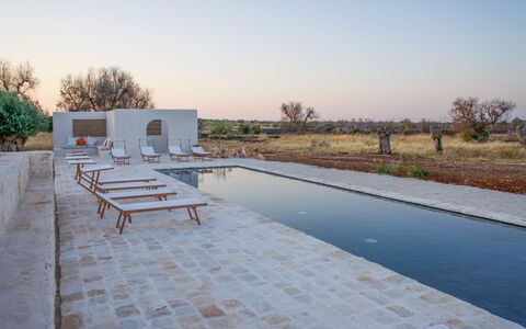 Terracorte Villa: Materiale Composito, Piscina, Riflessione, Reflecting Pool, Giochi D'Acqua, Mobili Da Esterno