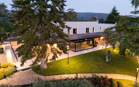 Villa Bocchi: Albero, Shade, Prato, Giardino, Estate, Cortile, Landscaping, Passerella, Parco