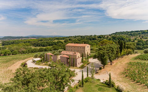 Poggio Mori 20: Paesaggio, Arbusto, Area Rurale, Lotto, Estate, Insediamento Umano, Piantagione, Hacienda, Giardino, Landscaping
