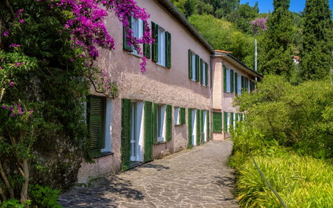 Portofino: Arbusto, Primavera, Giardino, Passerella