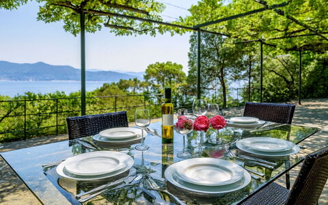 Portofino: Mobilia, Tavolo, Sedia, Cucina & Sala Da Pranzo Tavolo, Tavolo Esterno, Ristorante, Mobili Da Esterno, Shade, Ricorrere, Giardino