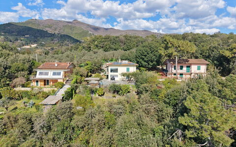 Villa Il Giardino: Vegetazione, Area Rurale, Collina, Paesaggio, Zona Residenziale, Casa, Highland, Comunita 'Impianto, Casa, Hill Station