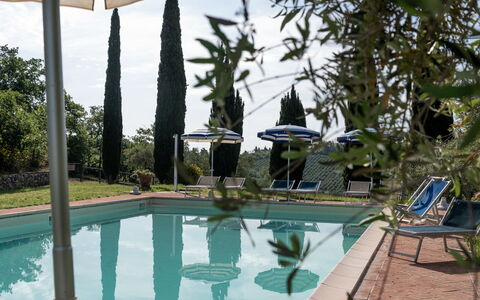 Podere le Lune with Pool, San Gimignano: Piscina, Ricorrere, Mobili Da Esterno, Tempo Libero, Eco Hotel, Vaso Di Fiori, Lettino, Shade, Hacienda, Landscaping