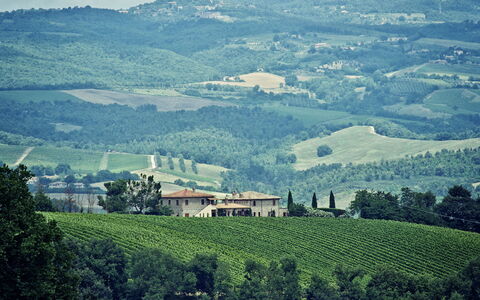 Selvamica: Collina, Paesaggio Naturale, Highland, Orizzonte, Pascolo, Paesaggio, Agricoltura, Area Rurale, Campo, Piantagione