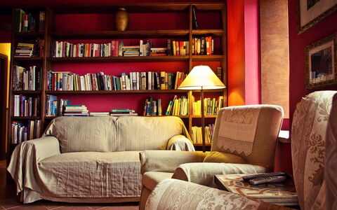 Selvamica: Mobilia, Interior Design, Libreria, Pavimentazione, Rosso, Scaffalature, Legna, Mensola, Pavimento, Soggiorno