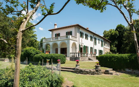Martini: Arbusto, Estate, Hacienda, Dimora, Prato, Agriturismo, Giardino, Villa, Cortile, Landscaping