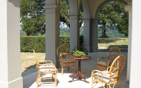 Martini: Mobilia, Mobili Da Esterno, Sedia, Colonna, Shade, Giardino, Vaso Di Fiori, Tavolo Esterno, Portico