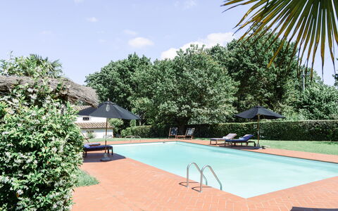 Fattoria: Piscina, Ricorrere, Shade, Eco Hotel, Hacienda, Estate, Mobili Da Esterno, Giardino, Landscaping, Villa