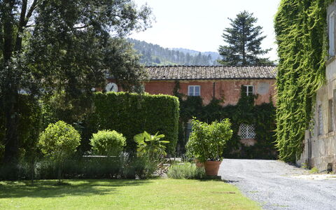 Fattoria: Arbusto, Zona Residenziale, Casa, Estate, Giardino, Hacienda, Hedge, Landscaping, Cortile