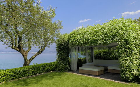 Isa Villa: Arbusto, Giardino, Lotto, Hedge, Groundcover, Shade, Prato, Landscaping, Mobili Da Esterno, Cortile