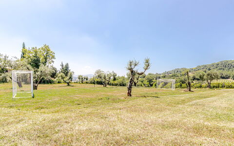 Chateau la Siroque: Albero, Erba, Pascolo, Lotto, Plain, Prato, Primavera, Prato, Pascolo
