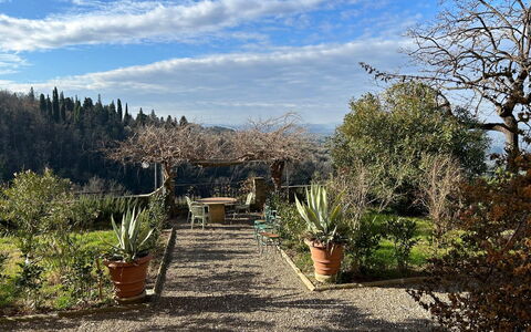 Villa Il Casalino, Florentine Hills with Pool: Vegetazione, Arbusto, Paesaggio, Comunita 'Impianto, Vaso Di Fiori, Giardino, Landscaping, Giardino Botanico, Passerella
