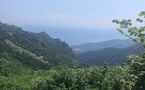 Apartment, Garden, Beigua Unesco Global Geopark: Geografia Montane, Foglia, Vegetazione, Collina, Montagna, Highland, Hill Station, Natura Selvaggia, Paesaggio, Comunita 'Impianto