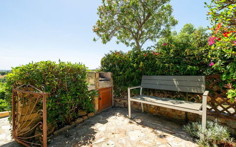 Casetta nel Blu: Arbusto, Giardino, Vaso Di Fiori, Comunita 'Impianto, Mobilia, Primavera, Mobili Da Esterno, Panchina, Landscaping