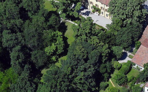 Villa Castellani: Albero, Zona Residenziale, Casa, Arbusto, Casa, Lotto, Estate, Insediamento Umano, Prato, Dimora