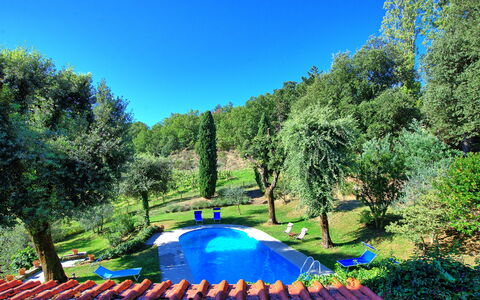 Villa Ulivacci: Blu, Giardino, Piscina, Prato, Shade, Backyard, Landscaping, Parco, Cortile, Mobili Da Esterno