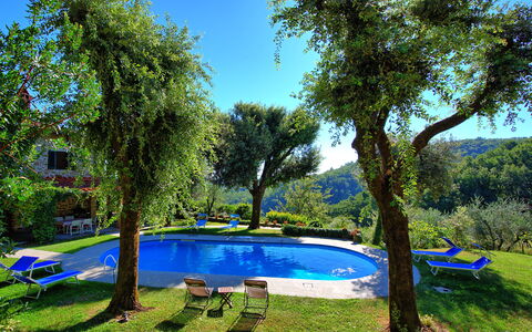 Villa Ulivacci: Blu, Piscina, Giardino, Shade, Mobili Da Esterno, Hacienda, Eco Hotel, Landscaping, Backyard, Prato