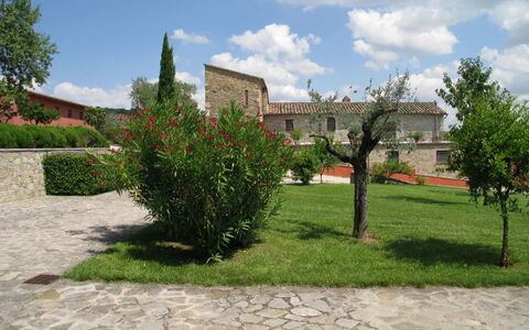 Agriturismo le Case Rosse di Montebuono: Erba, Arbusto, Paesaggio, Lotto, Giardino, Prato, Landscaping, Cortile, Piantagione