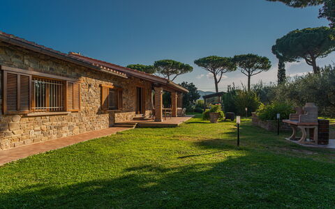 Villa Bolgheri Vermentino Castagneto Carducci: Legna, Casa, Villetta, Casa, Tetto, Estate, Lotto, Area Rurale, Agriturismo, Giardino