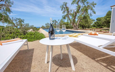 Villa Il Guaceto: Mobilia, Mobili Da Esterno, Giardino, Shade, Tavolo Esterno, Sedia, Landscaping, Eco Hotel, Backyard