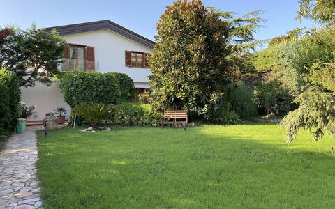 Villa Ava: Erba, Casa, Giardino, Arbusto, Zona Residenziale, Casa, Prato, Lotto, Backyard
