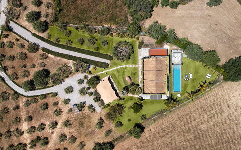 Villa Monica: Albero, Paesaggio, Zona Residenziale, Plain, Lotto, Estate, Casa, Area Rurale, Fotografia Aerea, Visione Globale